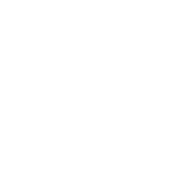 Armed or disarmed icon