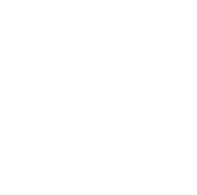 The IDS Rapid Charger - Icon