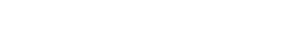 securefire logo